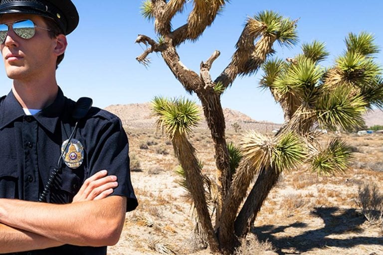 state criminal defense attorney