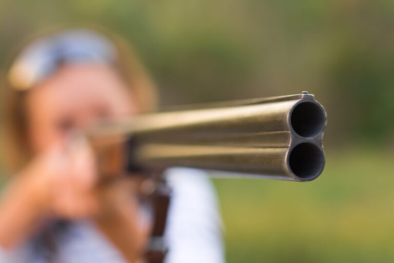 Goodyear Discharge of a Firearm in City Limits Lawyer
