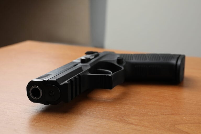 Chandler 4th of July: Shannon's Law Gunfire Arrests